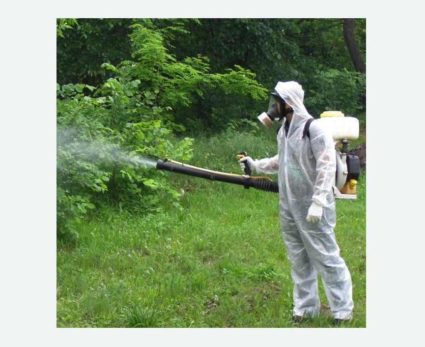 обработка территории от клещей Битцевский парк метро Москвы