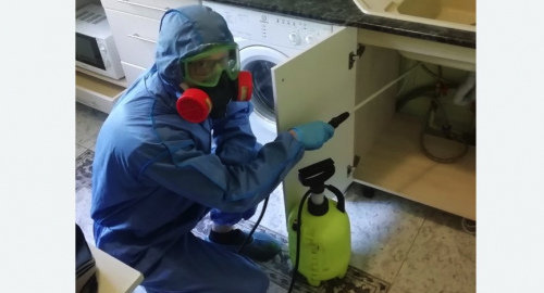 Уничтожение муравьев в квартире. Битцевский парк