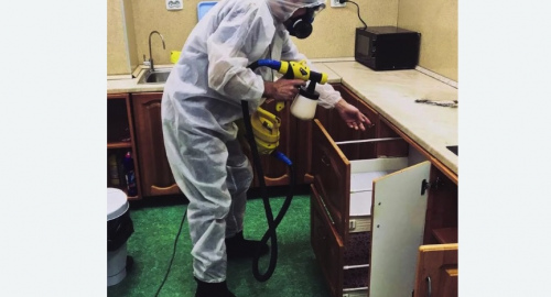 Уничтожение насекомых в квартире. Битцевский парк