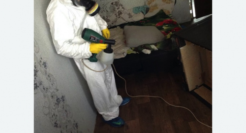 Обработка квартир от насекомых Битцевский парк метро Москвы