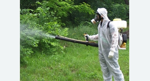 Дезинфекция территории от клещей. Битцевский парк