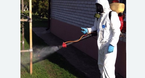 Уничтожение клещей на участке Битцевский парк метро Москвы