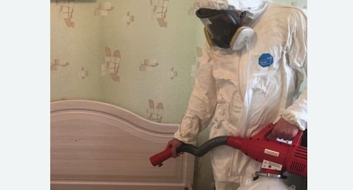 Уничтожение клещей в квартире. Битцевский парк