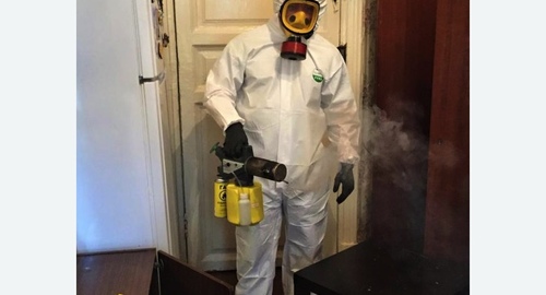 Дезинфекция от муравьев в квартире Битцевский парк метро Москвы