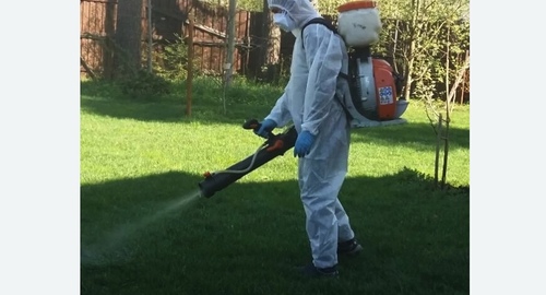 Обработка участка от клещей Битцевский парк метро Москвы