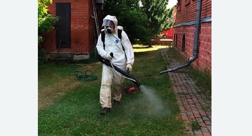 Обработка территории от клещей. Битцевский парк