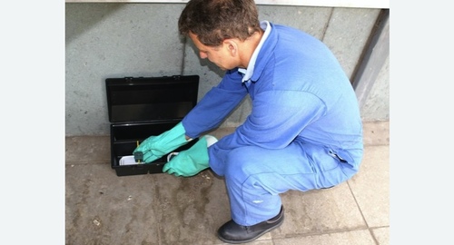 Уничтожение мышей. Битцевский парк