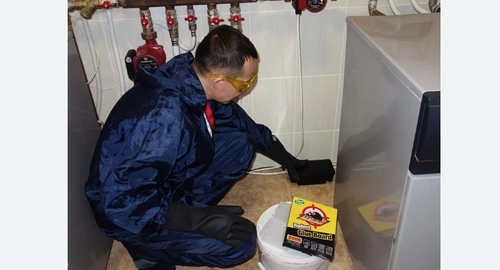 Дератизация крыс. Битцевский парк