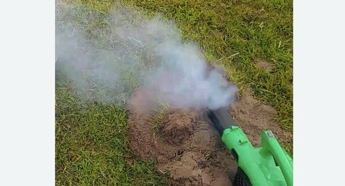 Обработка от кротов Битцевский парк метро Москвы