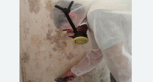 Обработка стен от плесени Битцевский парк метро Москвы