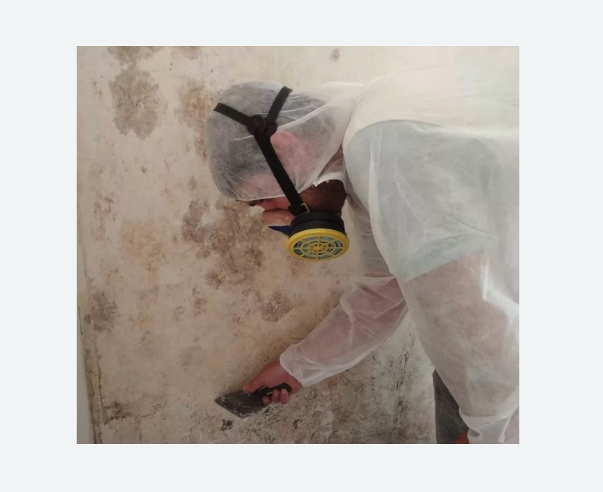 Обработка стен от плесени Битцевский парк метро Москвы