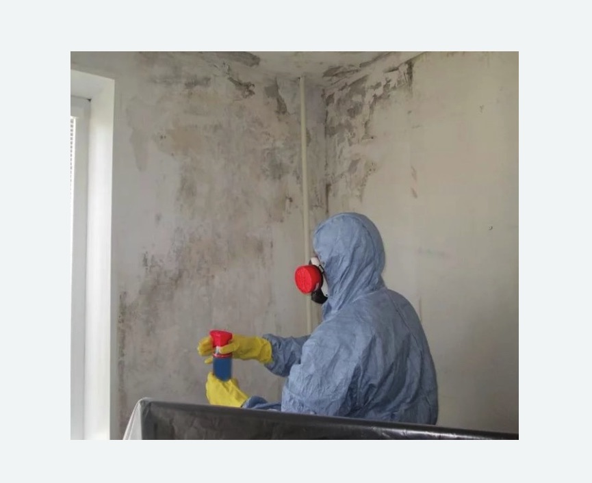 Удаление плесени в квартире Битцевский парк метро Москвы