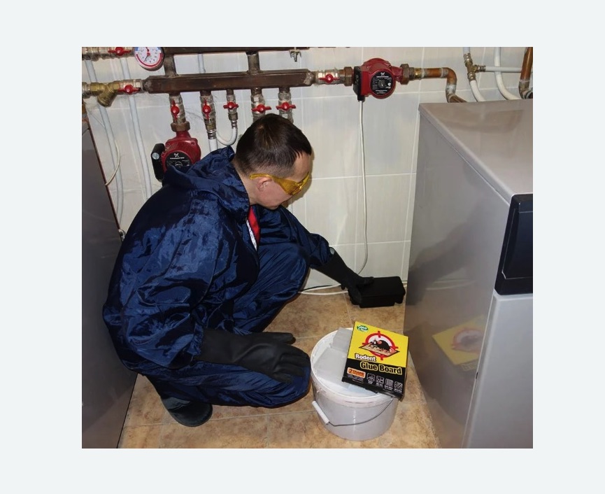 Уничтожение крыс Битцевский парк метро Москвы