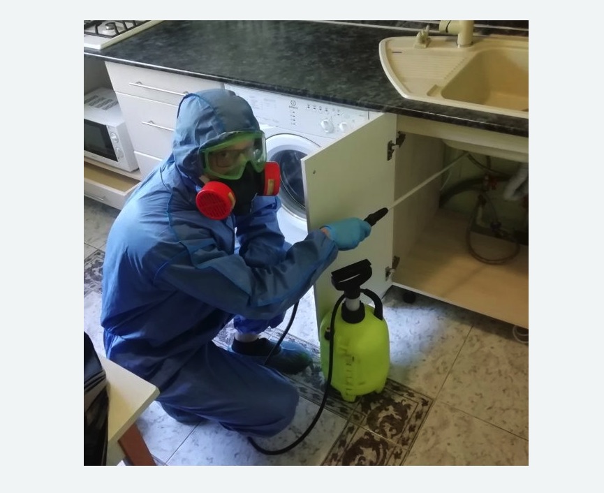 обработка от муравьев в квартире Битцевский парк метро Москвы