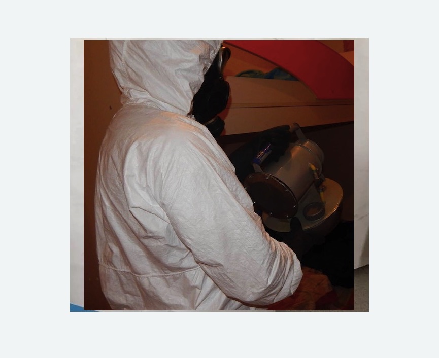 Дезинфекция от муравьев Битцевский парк метро Москвы