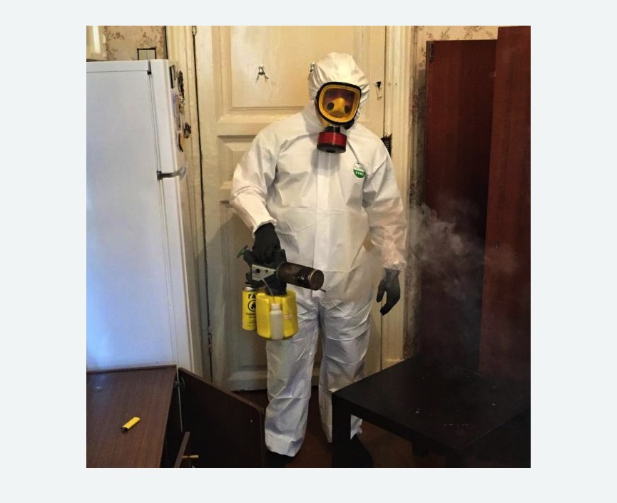 уничтожение муравьев в квартире Битцевский парк метро Москвы